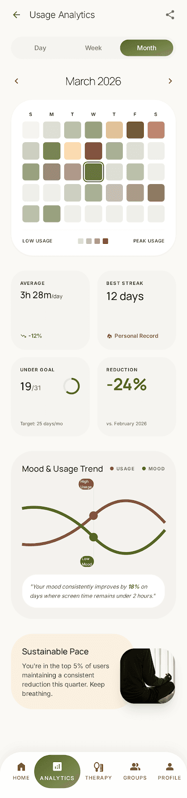 Monthly usage analytics screen