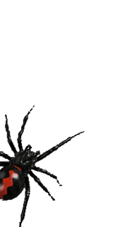 Black Widow